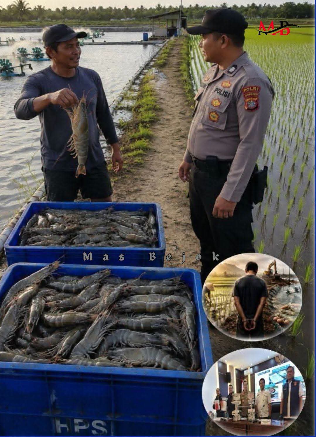Petani Jadikan Sawah Jadi Tambak Udang Jadi Tersangka FB_IMG_1781757954849.jpg
